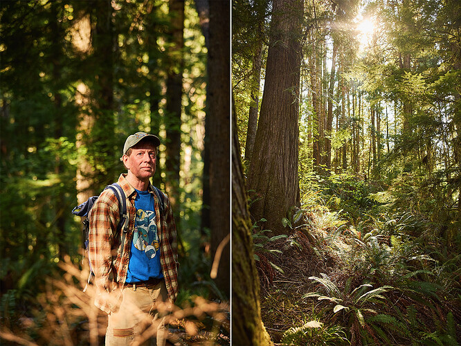 Erich Reeder, a retired BLM wildlife surveyor, in the forest above Oregon’s Yellow Creek, an area slated for future logging.