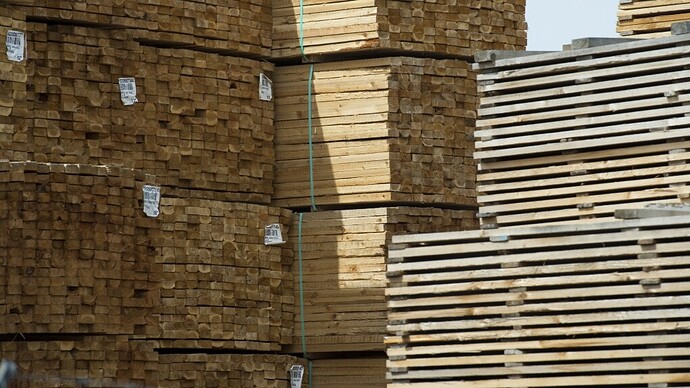softwood-lumber-1-6752588-1706839275887