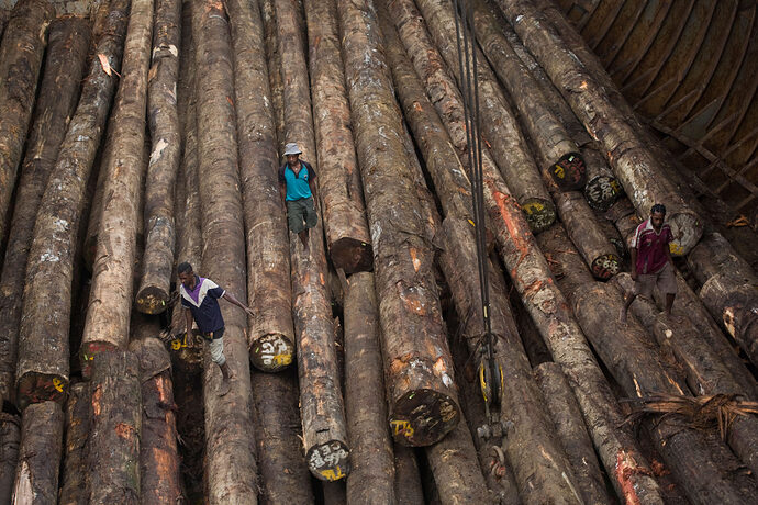 Under the European Commission's country classification list, timber from Papua New Guinea—a traditional hotspot for deforestation—is classified as 'low risk.' (Photo Credit: Jeremy Sutton-Hibbert / Alamy Stock Photo)
