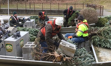 "People in aluminum boats tying cinderblocks to used Christmas trees."