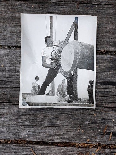 The Stihl series promotes lumberjacking as “the original extreme sport.”