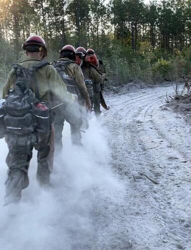 A line of four firefighters kick up ashy dust as they walk on a cleared path through the forest.