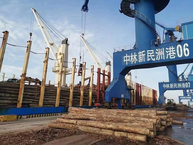 nato intelligence russian timber worst hit sanctions zhenjiang china port intext 1600x1200