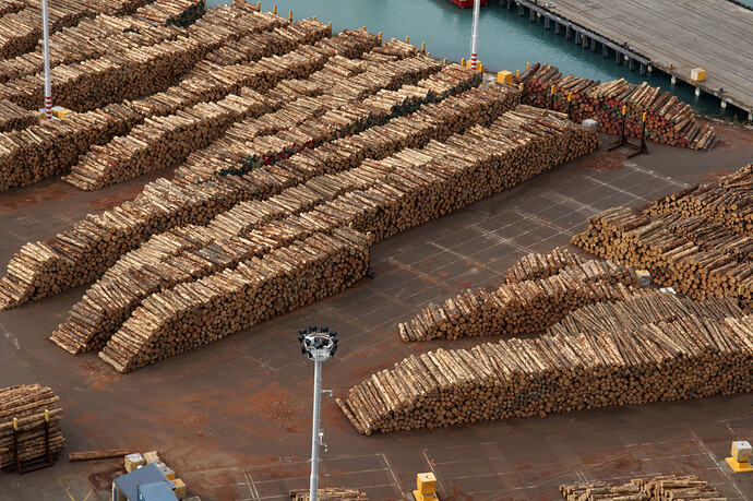 Imports of softwood logs to China lose 27% in November