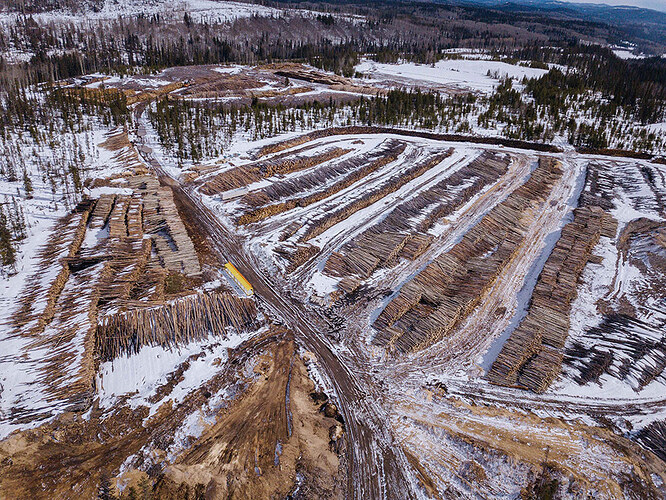An aerial photo shows a snowy landscape and tens of thousands of logs ranged in rows of large piles.