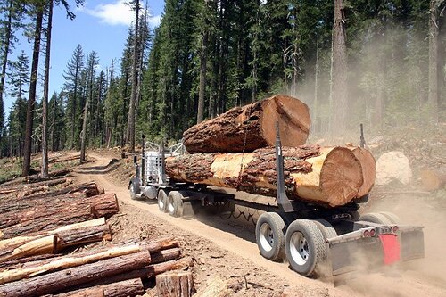 Smaller size Logging Truck image