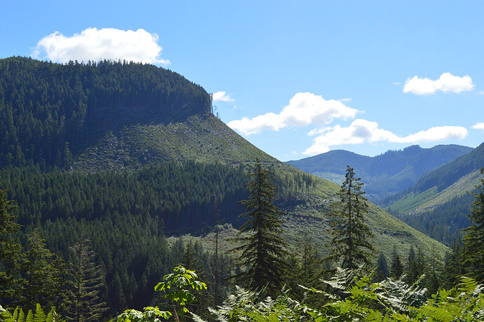 Extensive logging of remote mountains on Vancouver Island in British Columbia, Canada.