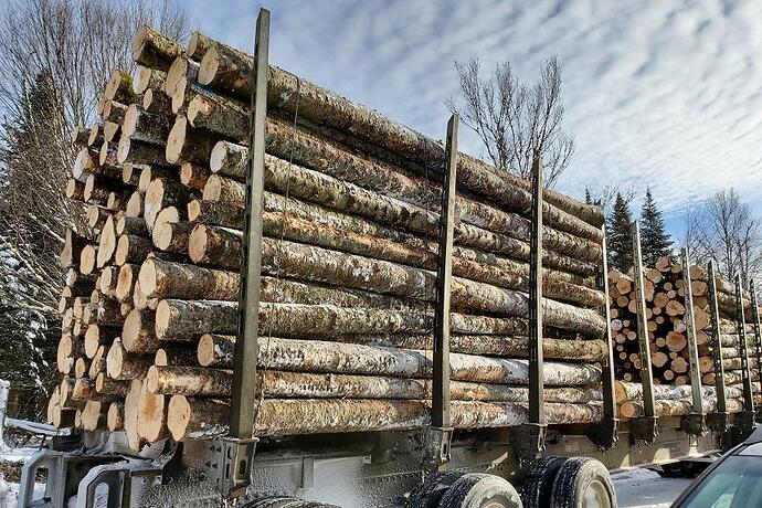 A logging truck full of cut logs