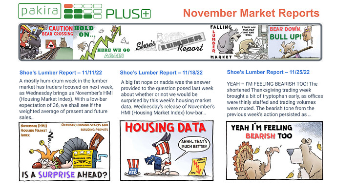 2022-11-29 Rectangular November Shoe's market report.pptx (1)