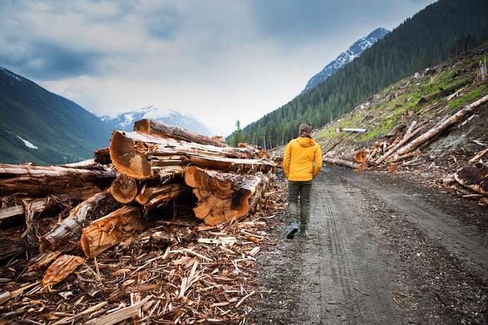 A man in a yellow jacket walks next to a pile of logs.