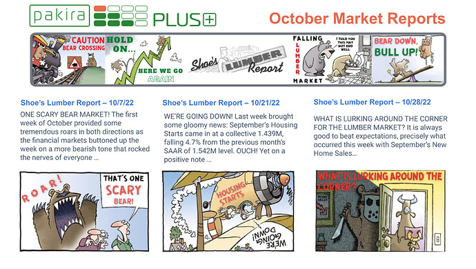 _2022-11-2 Rectangular October Shoe's market report.pptx (1)