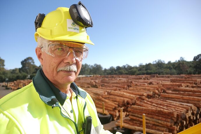 A man in a hard hat looks out over a timber log yard