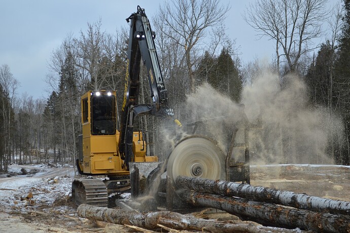 equipment cuts logs as sawdust flies