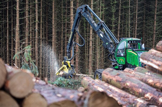 Increasing efforts are being made to achieve sustainable timber harvesting in UK forests.