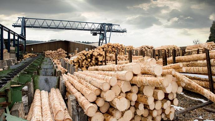 sawmill-lumber-mill_orig