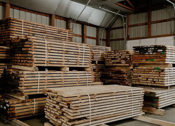 Meet Cambium, the Startup Set to Disrupt the Lumber Industry with Carbon-Smart Solutions