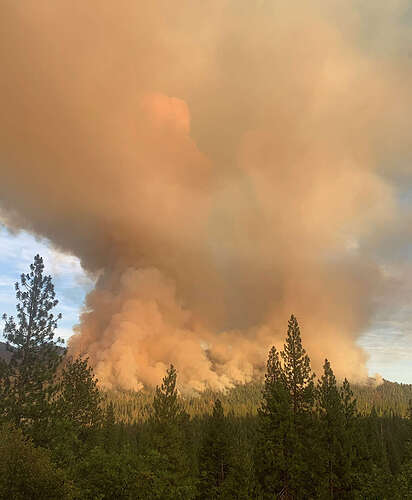 The Washburn Fire emits a column of smoke from within Yosemite National Park near the Mariposa Grove.