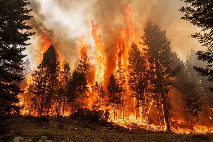 A planned ignition takes off after an unexpected wind shift on the Rossmore Lake Wildfire in mid-August, 2023.