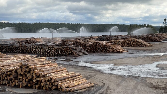 Piles of logs outside a sawmill.