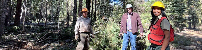 Three people wearing safety gear standing next to a cut tree in a forest.