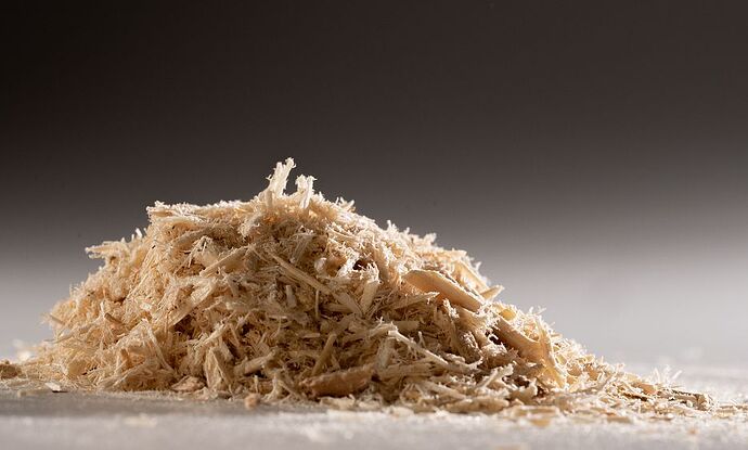 The start-up solving food scarcity by turning sawdust into meals