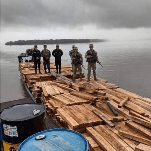 Screenshot 2022-03-01 at 09-41-18 Timber Risk Map ™ on Instagram “River boat loaded with alleged illegal Balsa wood seized ...