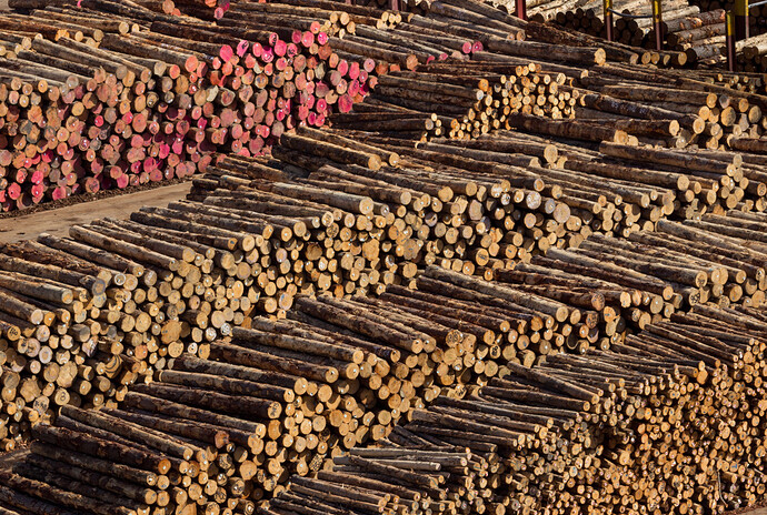 Exports of logs from New Zealand grow 35% in September
