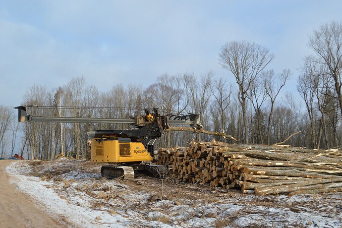 equipment stacks harvested timber
