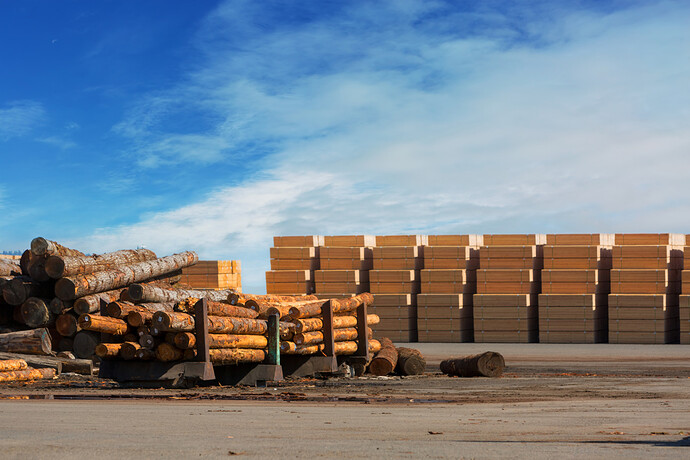 Demand for lumber declines worldwide, pushing prices for sawlogs down from record highs