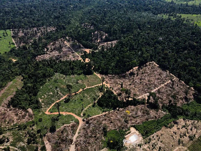 FILE PHOTO: A view shows a deforested area in the middle of the Amazon Forest in Uruara