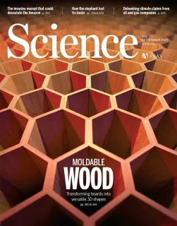 The cover of Science magazine with the lead article on Moldable Wood.