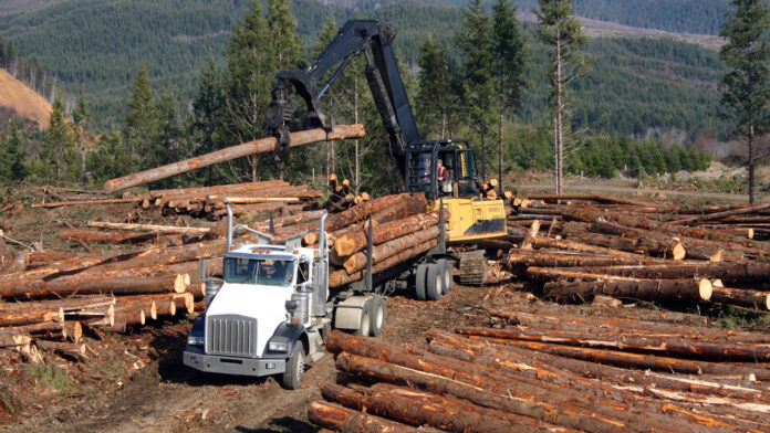 Softwood Lumber tariffs