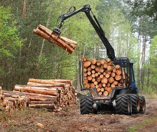 A harvester transporting logged woof from a forest area.