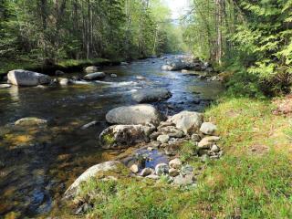 A look at Perham Stream. The Perham Stream watershed is designated as critical habitat for the federally endangered Atlantic salmon.