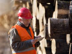 A person wearing a hardhat and safety vest standing next to a pile of cut lumber working on a tablet.