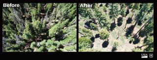 A before and after photos that shows a before and after aerial photo of a forest area.