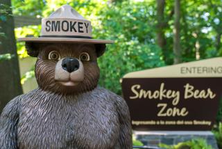 Statue of Smokey Bear standing in front of sign that reads Entering Smokey Bear Zone