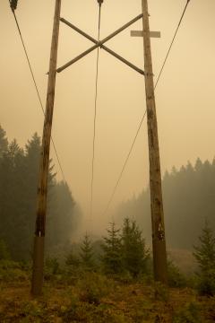 Two utility poles in a smoky landscape