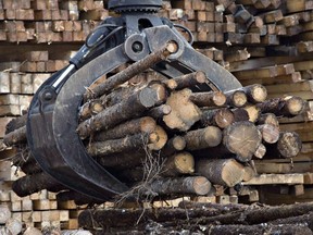 Quebec Premier François Legault is raising concerns about the province's forestry industry in the face of U.S. president-elect Donald Trump's tariff threats. Logs are shown at a softwood lumber sawmill on Nov. 14, 2008 in Saguenay, Quebec.