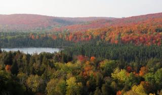 A landscape photo with green conifer trees and red and orange deciduous trees. A lake can be seen off to the left.