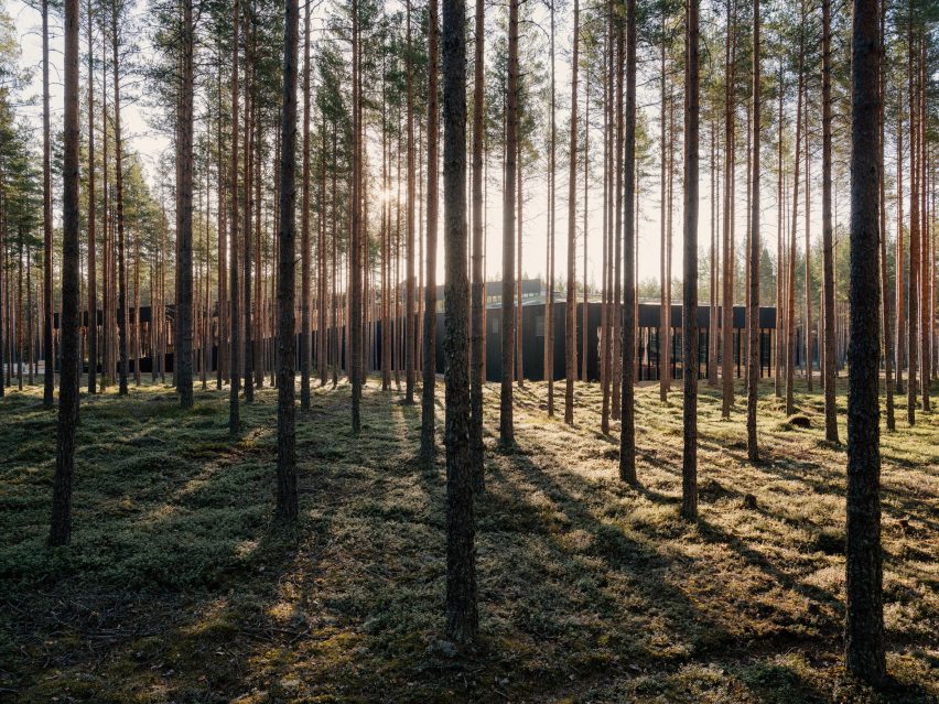 Black wooden building in a forest between trees
