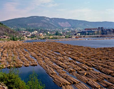 Floating Logs in Norway