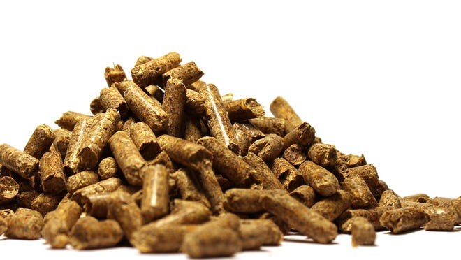 Enviva's wood pellets are produced at facilities around the Southeast, then shipped overseas to be burned for energy at biomass plants in Europe and Asia.