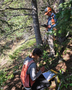 Two women in orange vests take notes while one stands next to a tree trunk and the other kneels on the ground in a forest.