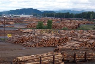A lumber yard with logs shown all over the lumber yard.