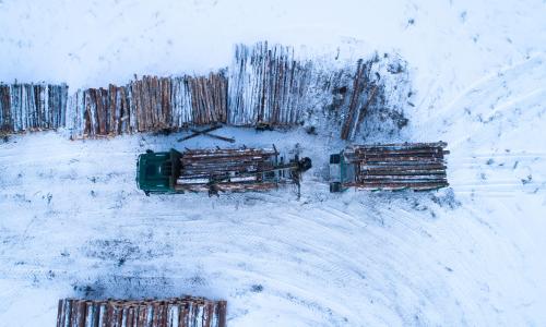 Logging truck in Estonia