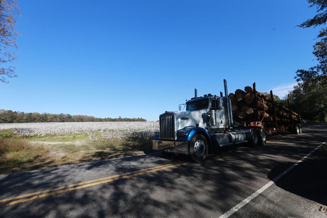 Logging is big business in many rural counties of Eastern North Carolina.
