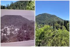 A collage of images showing a 1905 and 2022 images of the same location in the North Yuba Landscape and an overgrowth of trees when compared to the 1905 image.