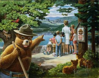Illustration of Smokey Bear