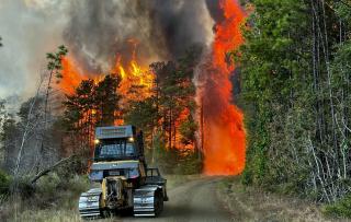 A bulldozer faces burning conifer trees and flames while creating a fire break.